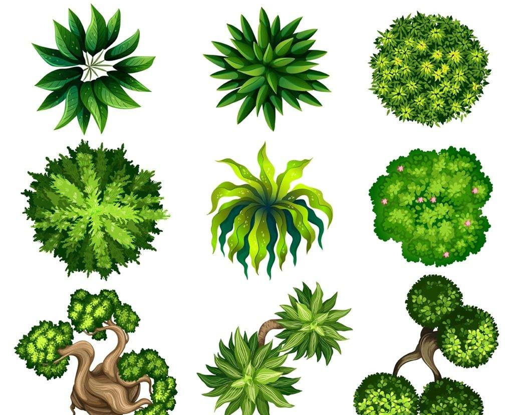 可以凈化室內(nèi)空氣的植物，這二十種您需要好好了解一下！
