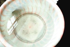 疫苗事件背后：您是否想過除甲醛產品也存在無效情況？