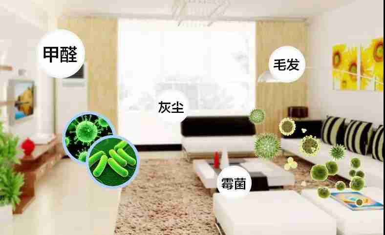 網上的除甲醛好辦法真的有效嗎？原理是什么