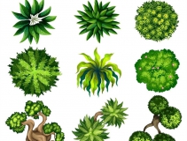 可以凈化室內空氣的植物，這二十種您需要好好了解一下！