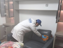 除甲醛都有哪些方法比較好用？