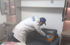 哪種方法除甲醛才是真正有效的呢？