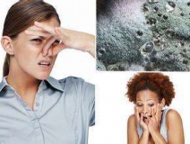 家里有異味怎么辦？科學(xué)除味、治理甲醛就對了！