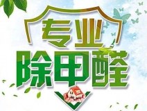 除甲醛公司的專業性表現在哪些方面？