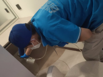 除甲醛需要做哪些功課？