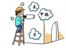 去甲醛具體有哪些方法呢？