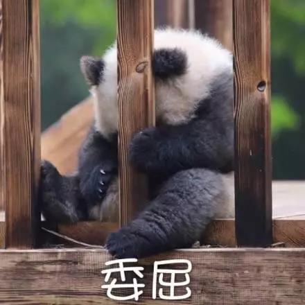別大意！七大除甲醛“誤區”，信了你反而會生??！通風、綠植、活性炭、熏蒸……你中招了嗎？