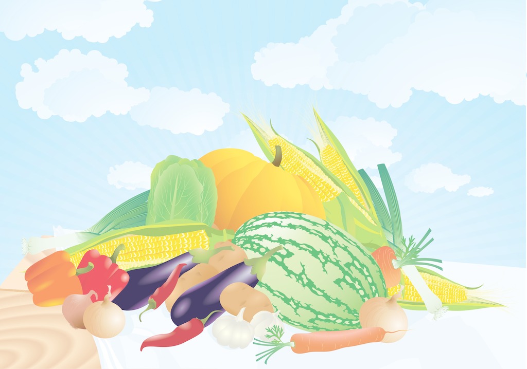夏季找除甲醛公司有哪些需要注意的？