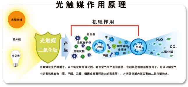 如何去除車內甲醛？